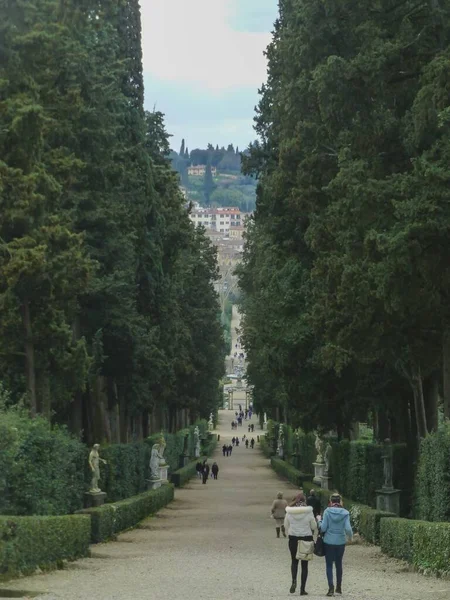 Plano Vertical Sendero Medio Árboles Altos Con Gente Caminando Florencia — Foto de Stock