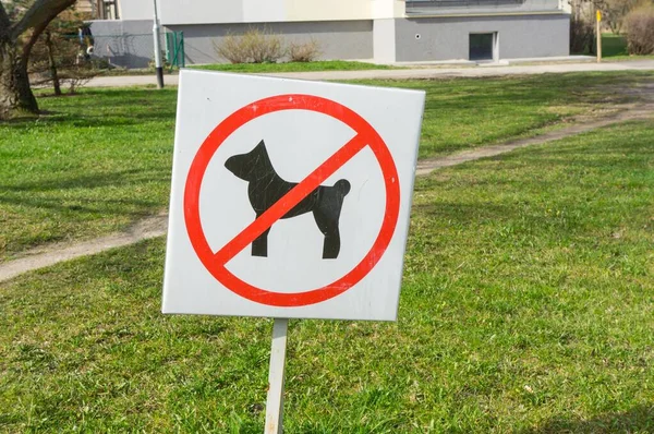 Signo Mascotas Campo Con Edificios Fondo —  Fotos de Stock