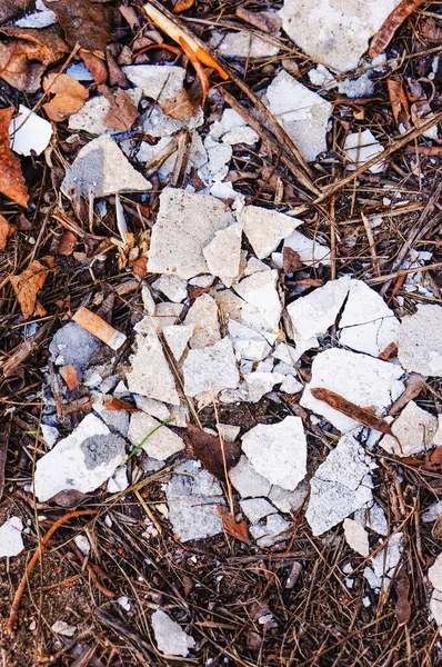 Une Vue Dessus Pierres Béton Fissuré Avec Des Feuilles Séchées — Photo