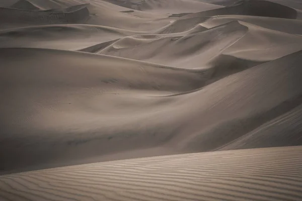 Hermoso Tiro Duna Desierto —  Fotos de Stock