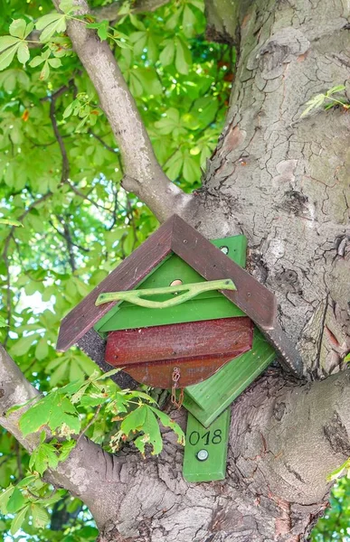 Eine Vertikale Aufnahme Eines Vogelhauses Auf Dem Baum Mit Unscharfem — Stockfoto