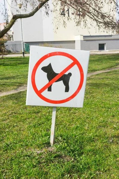 Tiltott Kutyák Jele Parkban — Stock Fotó