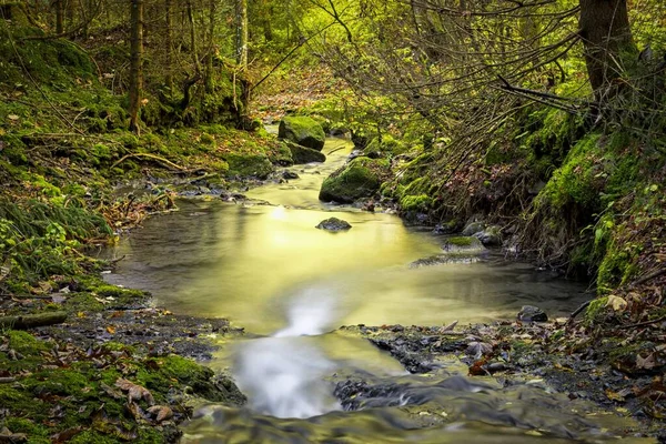 Krásný Potok Tekoucí Vody Lese — Stock fotografie