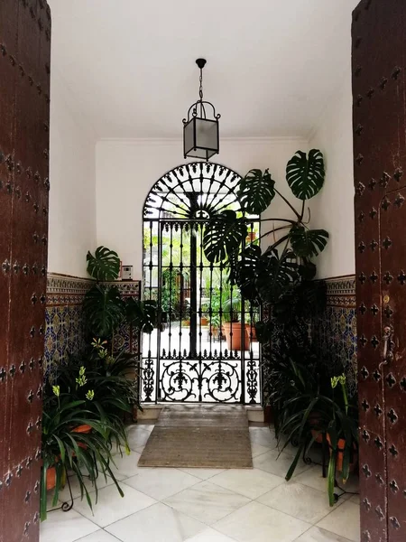 スペイン コルドバの植物で飾られた白い建物の黒い金属製の門の美しいショット — ストック写真