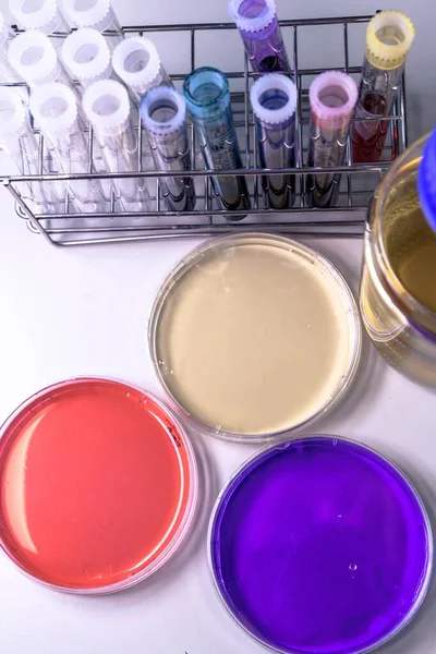 Függőleges Nagy Szögű Közelkép Petri Csészékről Koronavírus Kutatásához Használt Laboratóriumi — Stock Fotó