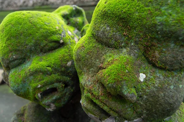 Asyalı Yosunlu Taş Heykellerin Insan Yüzü Şeklindeki Yakın Çekimi — Stok fotoğraf