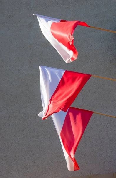 Een Verticaal Beeld Van Drie Vlag Van Polen Zwaaiend Een — Stockfoto