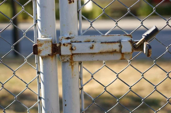 Closeup Shot White Rusty Gate Lock Land Background — Stock Photo, Image