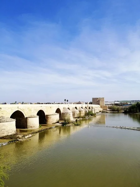 Eine Vertikale Aufnahme Der Berühmten Historischen Brücke Cordoba Spanien — Stockfoto