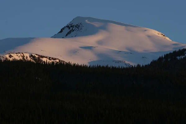 バンフとジャスパー国立公園の森の前の雪に覆われた山 — ストック写真