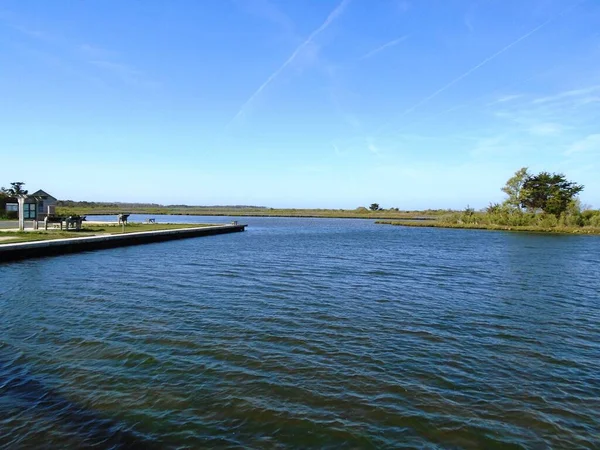 Ein Von Grün Umgebener See Unter Sonnenlicht Und Blauem Himmel — Stockfoto