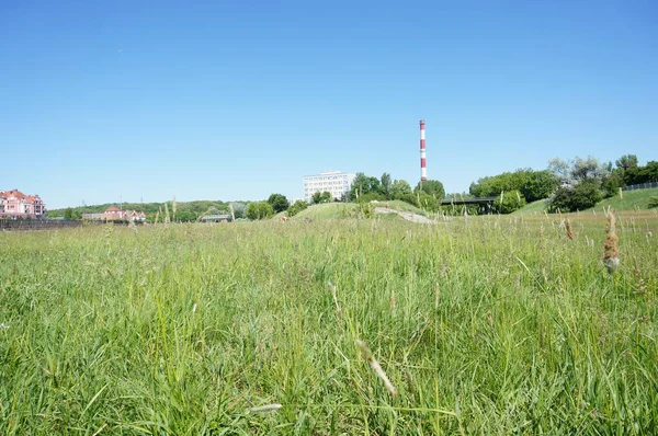 Ett Fält Grönt Gräs Med Skorsten Och Byggnader Bakgrunden — Stockfoto