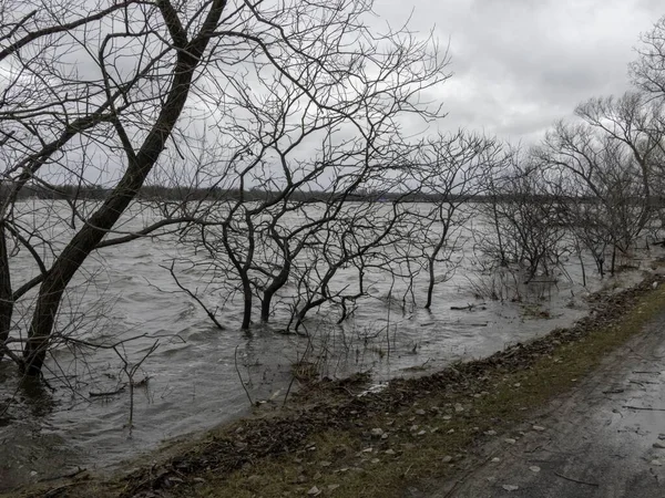 Het Prachtige Uitzicht Kale Bomen Het Fietspad Aan Het Water — Stockfoto