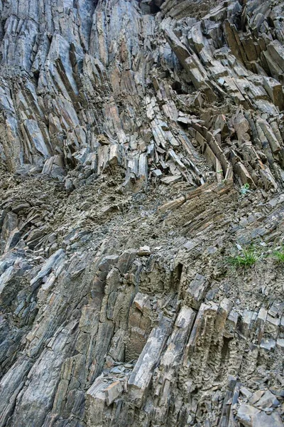 Eine Vertikale Nahaufnahme Einer Felsigen Oberfläche Mit Viel Grün Der — Stockfoto