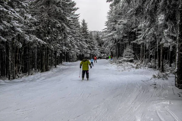 Eine Person Die Winter Einer Gelben Jacke Ski Fährt — Stockfoto
