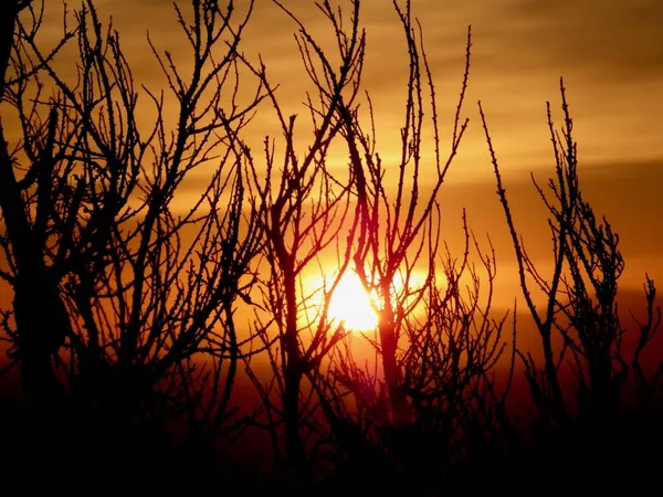 Sunset Makara Beach New Zealand — Stock Photo, Image