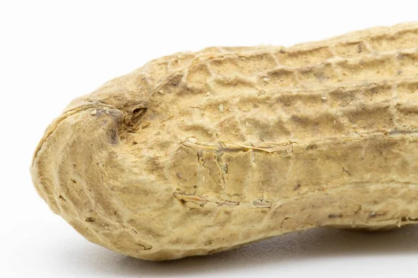 Die Erdnüsse Mit Schalen Isoliert Auf Weißem Hintergrund — Stockfoto