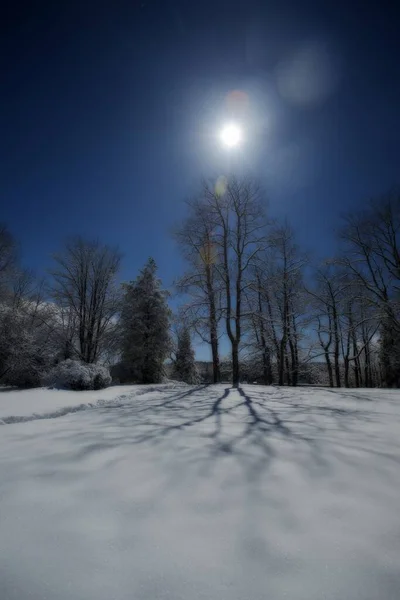 Eine Vertikale Aufnahme Eines Schneebedeckten Feldes Mit Blattlosen Bäumen Der — Stockfoto
