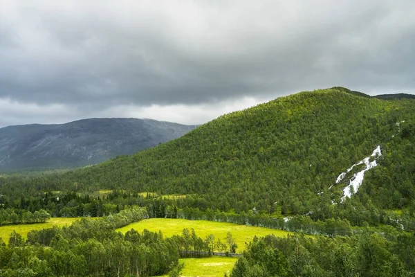 Magnifique Paysage Naturel Comté Hordaland Depuis Train Oslo Bergen Norvège — Photo
