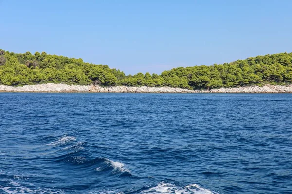 Gröna Träden Vid Kusten Det Blå Havet Skiathos Grekland — Stockfoto