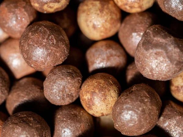A closeup shot of brown clay balls used as growing medium for plants — Stock Image Closeup Shot Brown Clay Balls Used Growing Medium Plants Royalty Free Stock Photos