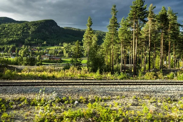 Paisaje Con Ferrocarriles Del Centro Sur Noruega Durante Verano — Foto de Stock