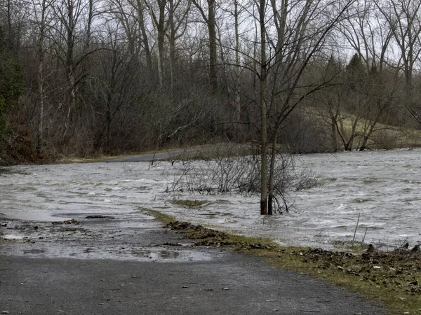 Die Schöne Aussicht Auf Die Kahlen Bäume Und Den Radweg — Stockfoto