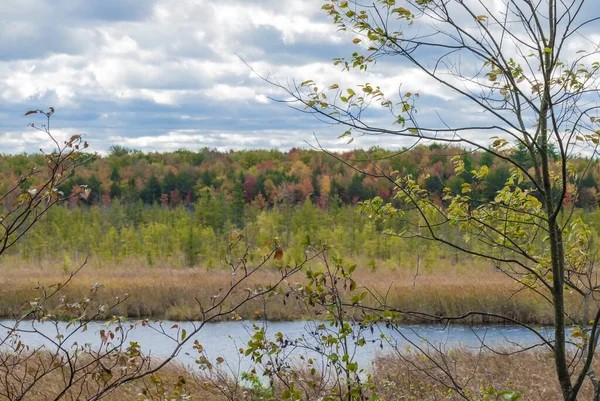 Une Belle Vue Lac Entouré Herbe Séchée Dans Région Tourbière — Photo