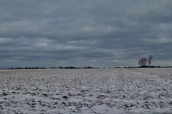 Sníh Les Kanadě — Stock fotografie