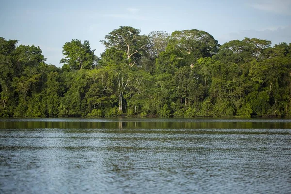 Eine Wunderschöne Landschaft Eines Sees Umgeben Von Einer Reihe Grüner — Stockfoto