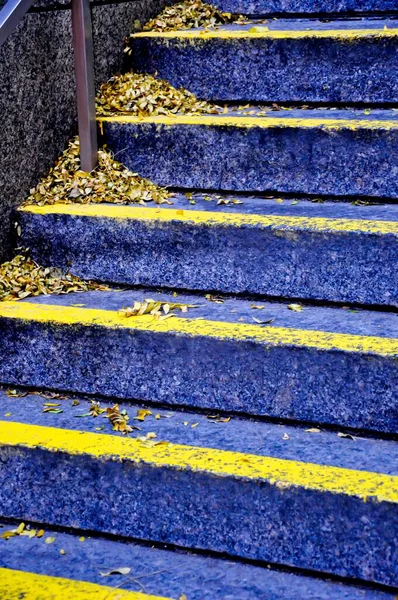 Een Prachtig Beeld Van Blauwe Gele Trap Perfect Voor Achtergrond — Stockfoto
