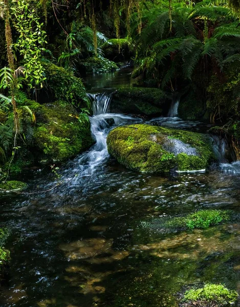 Vertical Beautiful Shot Waterfall Surrounded Trees Stones Moss Top — Stock Photo, Image