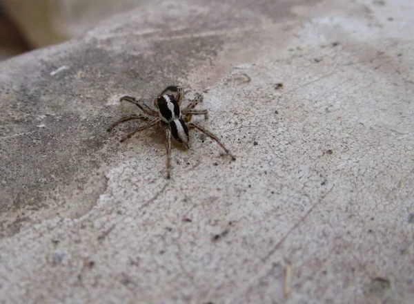 Closeup Gray Wall Jumper Lights Blurry Background — Stock Photo, Image