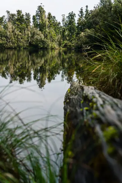 湖面上的一个垂直的美丽的照片 周围的树木和绿叶映衬着湖面 — 图库照片