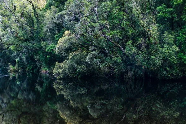 Ένα Όμορφο Πλάνο Μιας Λίμνης Αντανάκλαση Των Γύρω Δέντρων Και — Φωτογραφία Αρχείου