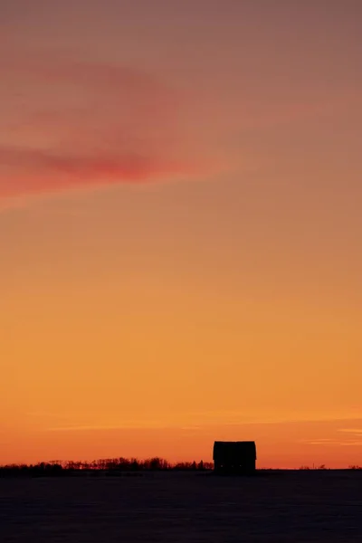 美しいオレンジ色の夕日の間の家や木のシルエット — ストック写真