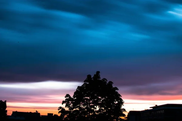 Bir Ağaç Silueti Güzel Renkli Günbatımı Gökyüzünün Altında Binalar — Stok fotoğraf