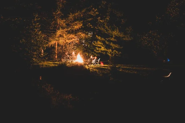 Etrafı Ağaçlarla Çevrili Kamp Ateşi Olan Bir Grup Arkadaş — Stok fotoğraf