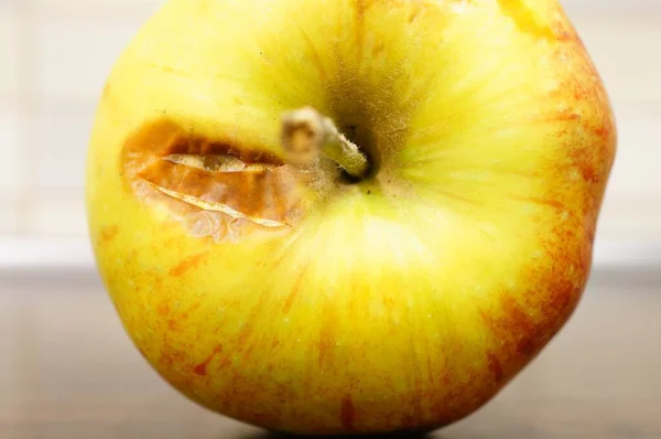 Gros Plan Sur Une Pomme Meurtrie — Photo