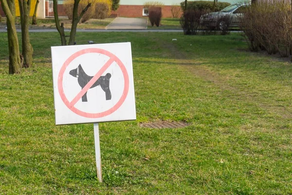 Großaufnahme Eines Schildes Mit Der Aufschrift Hunde Erlaubt Einem Park — Stockfoto
