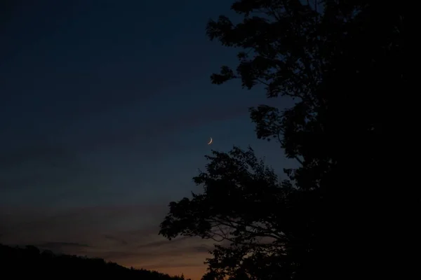 Una Luna Creciente Sobre Siluetas Árboles Con Sol Poniente Horizonte —  Fotos de Stock