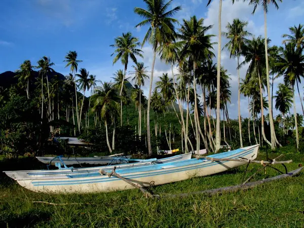 Een Grasveld Met Boten Omringd Door Palmbomen Tahiti Frans Polynesië — Stockfoto