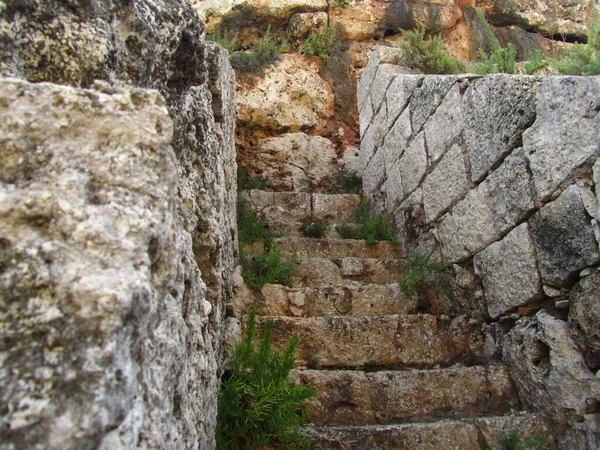 Крупный План Каменной Лестницы Окружении Зелени Солнечным Светом Бирзеббуге Мальте — стоковое фото