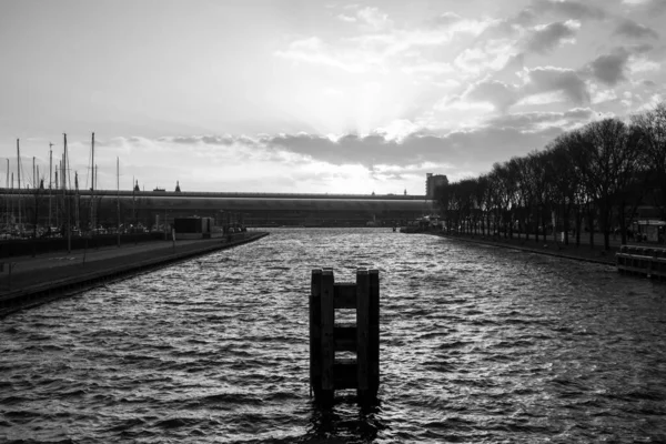 Амстердамі Дерев Яному Стенді Річці Оточеному Деревами — стокове фото