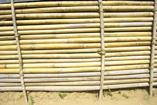 Vacker Bild Bambuvägg Dagtid — Stockfoto