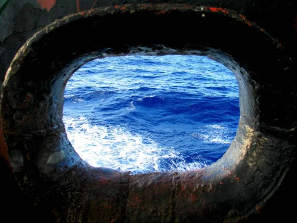 Selective Focus Shot Sea Shot Hole — Stock Photo, Image