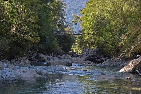 Μαγευτική Θέα Του Ποταμού Που Περιβάλλεται Από Πέτρες Και Δέντρα — Φωτογραφία Αρχείου