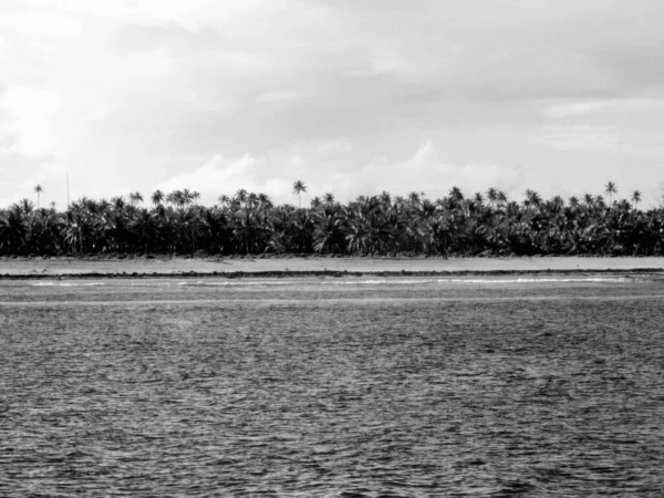 Tahiti Uzaklarda Palmiye Ağaçları Olan Bir Denizin Gri Tonlu Görüntüsü — Stok fotoğraf