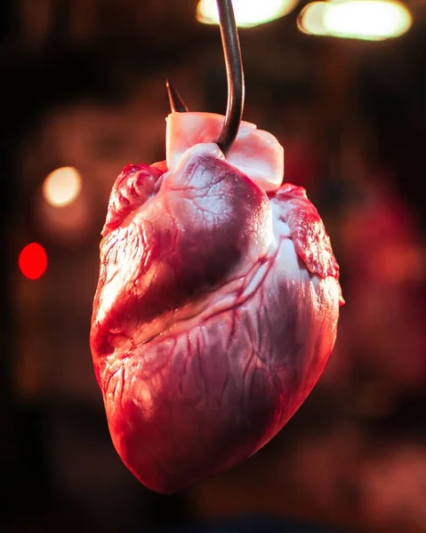 Bir Kancaya Asılı Duran Kalp Organının Yakın Çekim Odak Noktası — Stok fotoğraf