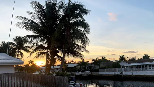 Eine Horizontale Aufnahme Von Kokospalmen Auf Einem Resort Mit Sonnenuntergang — Stockfoto